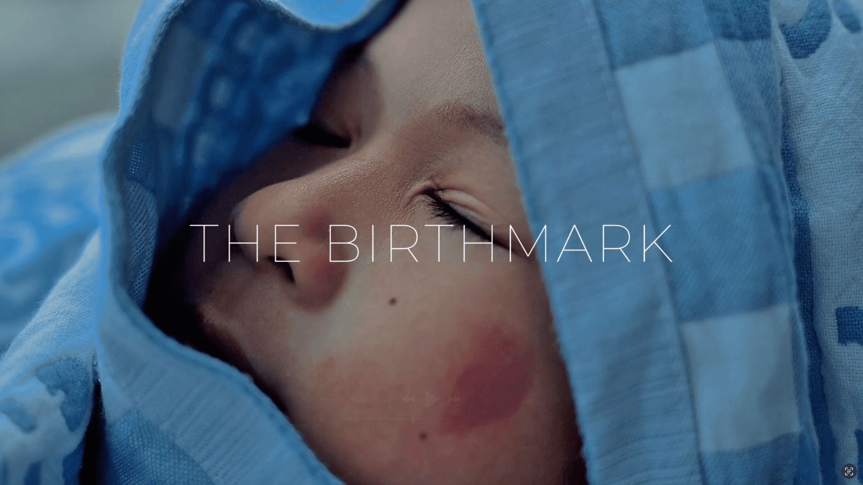 The Birthmark cover